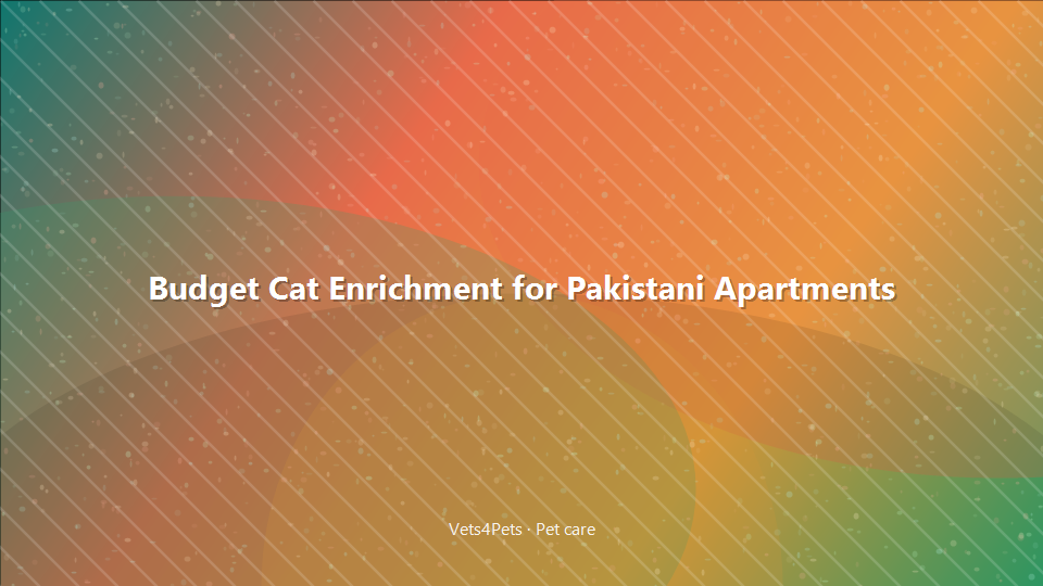 Budget Cat Enrichment for Pakistani Apartments