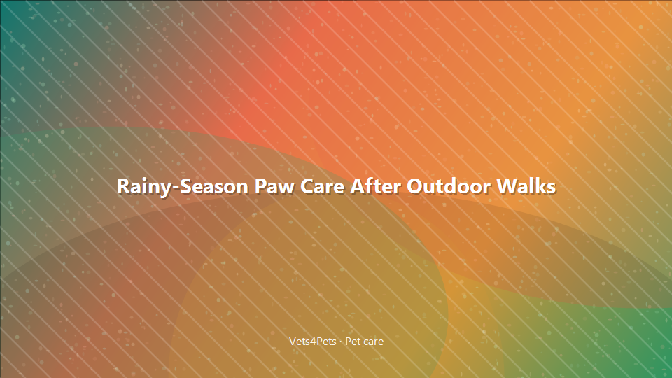 Rainy-Season Paw Care After Outdoor Walks