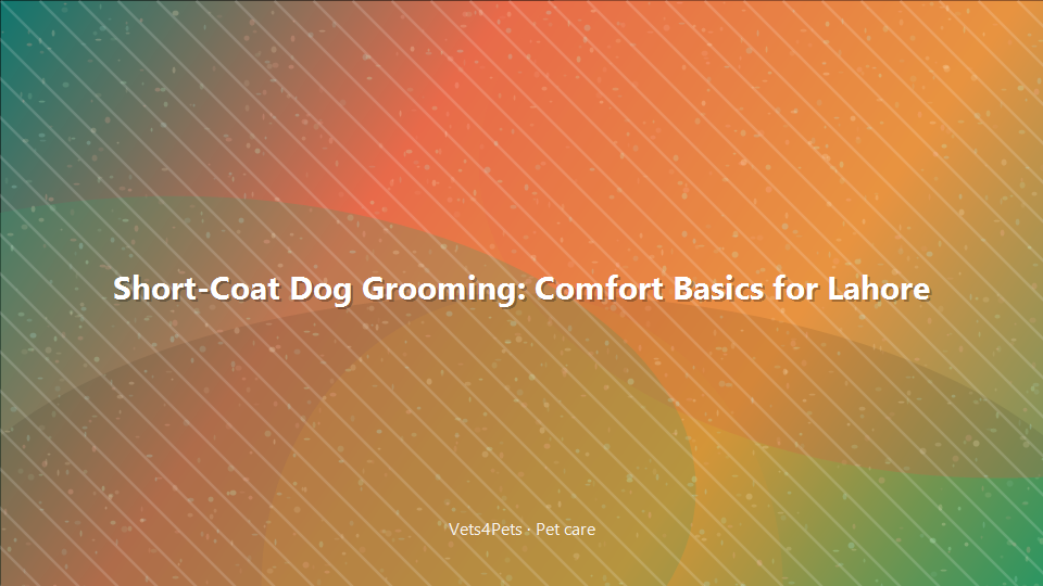 Short-Coat Dog Grooming: Comfort Basics for Lahore