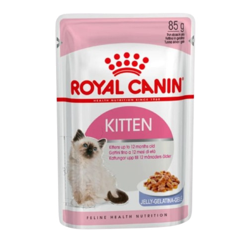 RC Kitten 2kg
